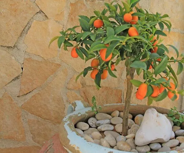 Centro Vacanze Piccolo Friuli Vieste
